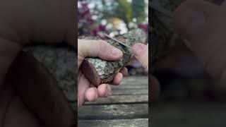 Ever wondered how to turn a branch into functional art? #carving #nature #relaxing #woodcarving