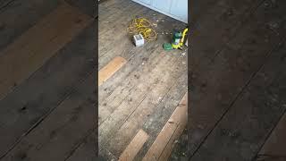 floor sanding transformation pine wood & varnish finish️