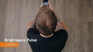 Brightspace Pulse - Navigation - Learner