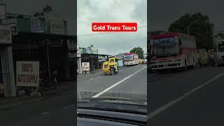 Bus Spotted Gold Trans Tours MB 828