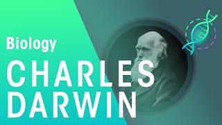 Charles Darwin's Observations | Evolution | Biology | FuseSchool