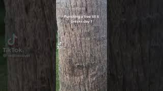 punching a tree until it breaks