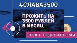 Как прожить на 3500 рублей в месяц? Отчет. Неделя 2.