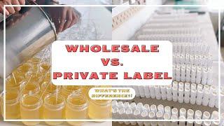 Difference between Wholesale vs. Private Label | Which is best for your business?