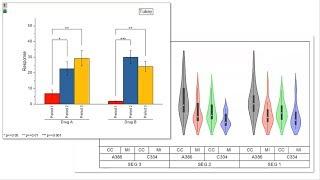 Creating Statistical Graphs