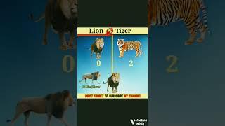 Lion vs tiger#comption#short#Any field#but is win#watch for end#viral#shorts