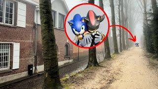 ¡Shadow está en peligro! - ¿Qué pasó con Shadow y Sonic?| SONIC THE HEDGEHOG 3