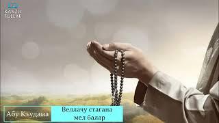 ᴴᴰ┇Веллачу стагана мел балар | Абу Къудама.