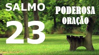 PODEROSA ORAÇÃO COM O SALMO 23 PARA RECEBER BÊNÇÃOS E MILAGRES - eVIVA