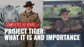 50 Years Of Project Tiger: PM Modi Releases Tiger Census Data; Significance Explained