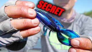 I WISH I knew This about FLIPPING when I started BASS Fishing!   (Everything you NEED to Know)