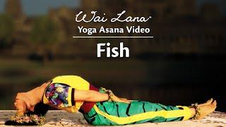 Wai Lana Yoga Asana : Fish