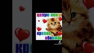 МОЯ ЛЮБИМАЯ НАДЮШЕНЬКА УДИВЛЯЛКА ️️️️