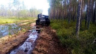 Каракат переломка по болоту.