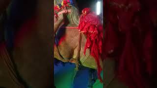 #horsedance #viralvideo # #trending song। RPA 