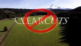 [Official Video]-- Forest Awareness Video (Negative Effects of Clearcutting)