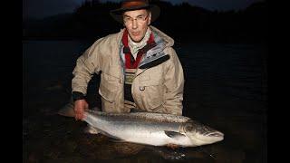 Huge Gaula Salmon on Fly and Orvis Helios rod – catch & release in Norway