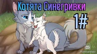 Коты воители. Котомульт Котята Синегривки |РУССКАЯ ОЗВУЧКА|1#