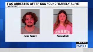 Two arrested in connection to Harrison County animal abuse case