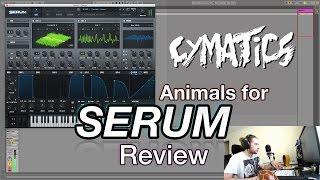 Cymatics Animals for Serum Review (+ 30 free presets!)