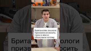 Британские ученые говорят не косить, но мы их слушать не будем #газон #газонокосилка #дача