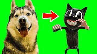 БАНДИТ ПРЕВРАТИЛСЯ В CARTOON CAT !! (Хаски Бублик) Говорящая собака SCP серии