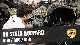 ТО STELS GUEPARD 650 / 800 / 850