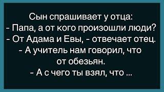 Как Подвыпившая Женщина Знакомилась В Баре! Сборник Свежих И Смешных Анекдотов! Юмор! Позитив!