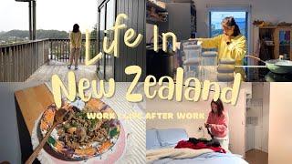 [VLOG] Ordinary days in New Zealand | What I cook for dinner after work | 1 hour house chore routine