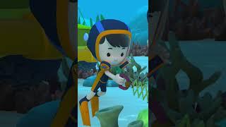 We Spotted Bunnies in the Sea! 🫧 | Leo the Wildlife Ranger | Kids Cartoons | #shorts #animals