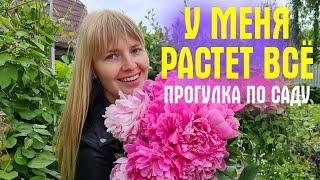 Я ПРОСТО В ШОКЕ! Розы УТОПАЮТ В БУТОНАХ! Гуляем по саду, смотрим что растёт