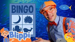 Blippi’s Big Blue Sea Animal Search Challenge! | Blippi Educational Videos for Toddlers