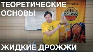 Жидкие дрожжи. Жидкие дрожжи при приготовлении пива