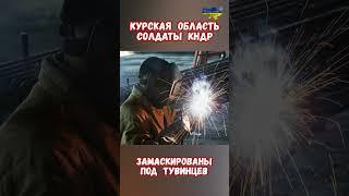 Солдаты КНДР замаскированы под тувинцев Курск #курскаяобласть #северокорейцы #приколы #корейцы #сво