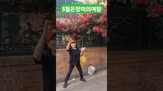 이제나만믿어ㆍ임영웅ㆍ5월은장미의여왕 #music #dance #미스터미스터 #디스코 #트로트 #트롯체전 #트롯 #댄스 #미스터트롯2