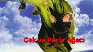 Cek və Paxla Ağacı Filmi Azərbaycanca Dublaj