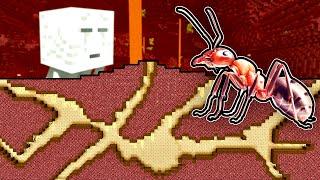 Can ANTS make ANTHILL in Nether? Ant farm in Minecraft