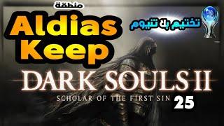 25 تختيم بلاتنيوم لعبة دارك سولز 2 - Aldias Keep - مهندز Dark Souls 2