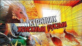 Ремонт курятника ОТ (А) НАЧАЛА до (Я) КОНЦА. Женскими руками. Заселение индюшек. Ферма в Германии