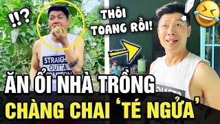 Ăn ổi NHÀ TRỒNG, anh giai vừa khen 'ỔI NGON' thì lập tức ngã ngửa vì sự thật gây bàng hoàng | TÁM TV