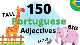 Learn Portuguese Adjectives  TOP 150 ADJECTIVES IN PORTUGUESE