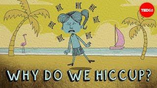 Why do we hiccup? - John Cameron