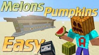 How to Make a Melon Farm with Observer Blocks in Minecraft | Minecraft Automatic Pumpkin Farm