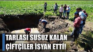 Boru Patladı Tarlalar Susuz Kaldı! Çiftçi Rezillik Diyerek Açıkladı / AGRO TV HABER