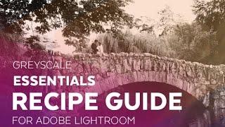 Grayscale Essentials Recipe Guide Preview - Sleeklens Adobe Lightroom Presets