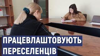 За тижень до Центру працевлаштування для переселенців у Кропивницькому звернулись сотня людей