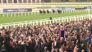 Frankel better than Black Cavier ? (All truth in this video)