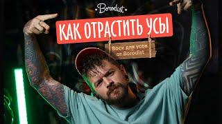 Как отрастить усы? Воск для усов Borodist