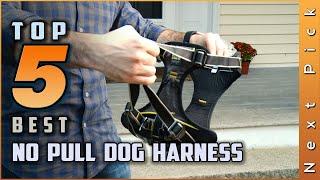 Top 5 Best No Pull Dog Harness Review in 2024