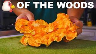 Edible shelf fungus (chicken of the woods 'mushroom')